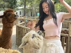 -水上乐园·欢乐世界