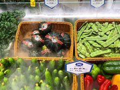 -燕郊烧鸽子(酷车小镇店)