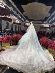 -艾米丽婚纱礼服