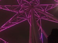 -墨尔本之星 观景摩天轮