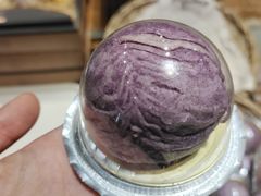 -苹果花园(桂林路店)