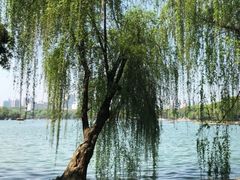 -食膳公园包子铺(烈士公园店)