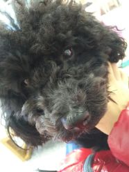 -斐尔国际皮肤管理中心