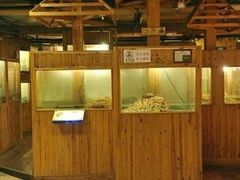 -上海大自然野生昆虫馆(东方明珠·爬宠昆虫探索中心)
