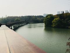 -昆山城市生态森林公园