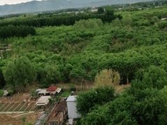 -北京九华山庄会展酒店