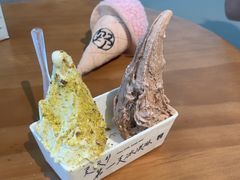 -野人先生现做冰淇淋(北京悠唐购物中心店)