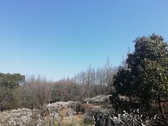 -白马涧龙池景区