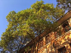 -贵州师范大学(宝山北路校区)