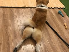 -YCHL Studios健身工作室(市二宫店)
