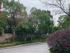 -上海崇明金茂凯悦酒店