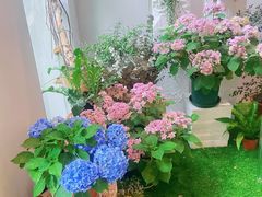 -花十悦·鲜花咖啡餐厅(振业城一期店)