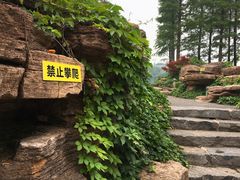 -圩墩遗址公园