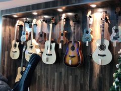 -小确幸吉他(北大街校区)