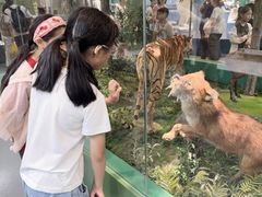 -国家自然博物馆