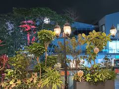 -润园四季椰子鸡火锅(欢乐海岸店)