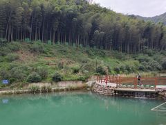 -午潮山国家森林公园