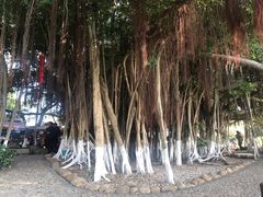 -胡里山炮台