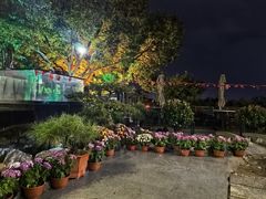 -蘇河湾·新鲁菜·泰山宴(泰山店)