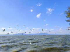-捞渔河湿地公园
