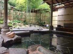 -有马温泉 竹取亭円山温泉旅馆