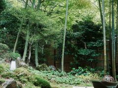 -有马温泉 竹取亭円山温泉旅馆