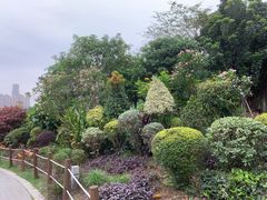 -顺峰山公园