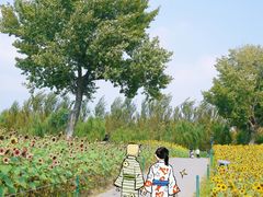 -长白岛森林公园