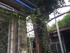 -小院儿童绘馆(富国里店)