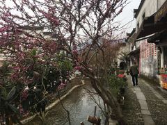 -绩溪龙川景区