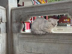 -长春观