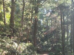 -綦江古剑山