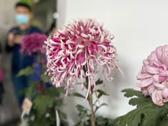 -杭州植物园