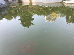 -迎泽公园