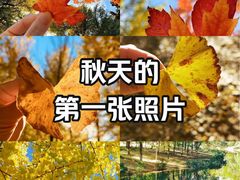 -天津东丽湖风景区