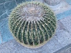 -寂照庵