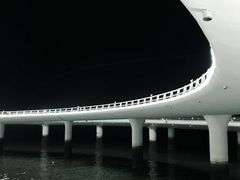 -演武大桥观景平台