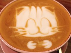 -猫色咖啡·猫咖