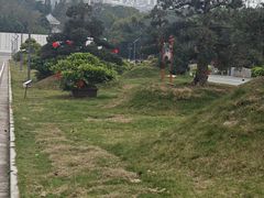 -广西壮族自治区药用植物园