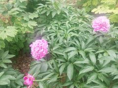 -幕燕滨江·长江观音景区