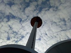 -麦当劳(海洋公园店)