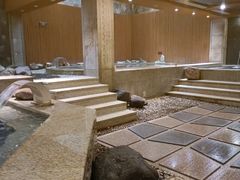 -恒坤北纬42度温泉洗浴(公园路店)