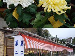 -成田山新胜寺