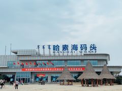 -哈素海