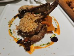 -百好乐宠物友好餐厅(朝外大街店)