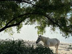-三亚西岛海洋文化旅游区