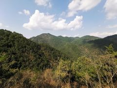 -四明山国家森林公园