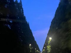 -黄海国家森林公园