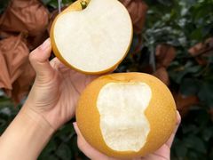 -郴州特产舜华临武鸭(郴州西站店)