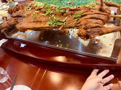 -杨正宗烤全羊(北二环店)